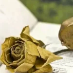 Πάτρα: Παρουσιάζεται η ποιητική συλλογή “Ιστορίες και σκέψεις για πέταμα” του Γιώργου Χ. Σπηλιόπουλου