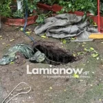 Αταλάντη: Τρομακτική περιπέτεια για ηλικιωμένη στην αυλή του σπιτιού της – Την «κατάπιε» το έδαφος
