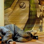 Πάνω από δέκα άτομα κοιμούνται στους δρόμους της Πάτρας