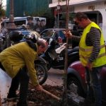 ΠΑΤΡΑ: Μπαράζ φυτεύσεων δένδρων
