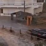 Λήμνος: «Πανικοβλήθηκε και βγήκε από το αυτοκίνητο» - Τι λέει ο αδελφός του 57χρονου κτηνοτρόφου που βρέθηκε νεκρός