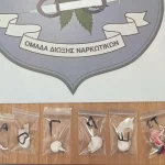 Χαλκιδική: Συνελήφθησαν δύο ανήλικοι για διακίνηση ναρκωτικών σε μαθητικές εκδηλώσεις