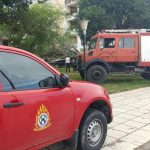 Πτώση δένδρου στην Κάτω Αχαΐα