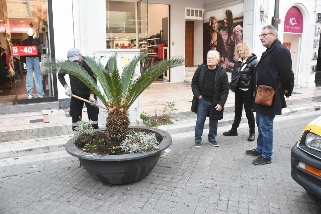 ΠΑΤΡΑ: Ιδού οι νέες ζαρντινιέρες που τοποθετεί ο Δήμος