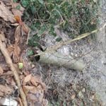 Ιδιοκτήτης ταβέρνας πετούσε τα λύματα από την τουαλέτα και την κουζίνα σε ρέμα