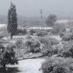 ΝΙΚΟΛΑΣ ΣΕΡΕΤΗΣ: Οταν η Πάτρα είχε ντυθεί στα λευκά