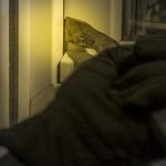 ΠΑΤΡΑ: Διέρρηξαν σπίτι στα Ροϊτικα