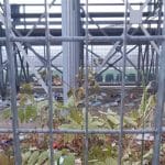 ΠΑΤΡΑ - ΦΩΤΟ: Γέμισε σκουπίδια το γήπεδο των Προσφυγικών