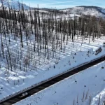 ΗΠΑ: Χιονοθύελλες και παγετός σε κεντρικές και ανατολικές πολιτείες – Στα 30 εκατοστά το χιόνι