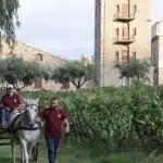 H Achaia Clauss και η Μαυροδάφνη στο Εθνικό Ευρετήριο Άυλης Πολιτιστικής Κληρονομιάς
