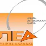 ΠΕΔ Δυτικής Ελλάδας: Η Αυτοδιοίκηση σε ένα σταυροδρόμι εξελίξεων