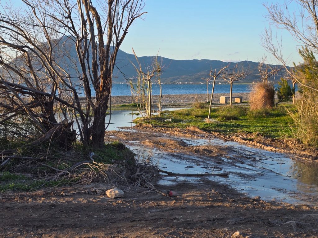 ΦΩΤΟ: ΞΕΣΗΚΩΘΗΚΑΝ ΟΙ ΚΑΤΟΙΚΟΙ ΣΤΙΣ ΔΑΦΝΕΣ! Ερωτηματικά για τα έργα και την αποχέτευση! ΒΟΜΒΑΡΔΙΣΜΕΝΟ ΤΟΠΙΟ Η ΣΥΝΟΙΚΙΑ ΤΟΥΣ!