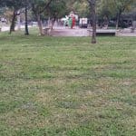 ΠΑΤΡΑ: Καθάρισαν τα Ψηλαλώνια