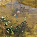 ΠΑΤΡΑ: Εστία μόλυνσης το συντριβάνι στα Ψηλαλώνια - ΦΩΤΟ