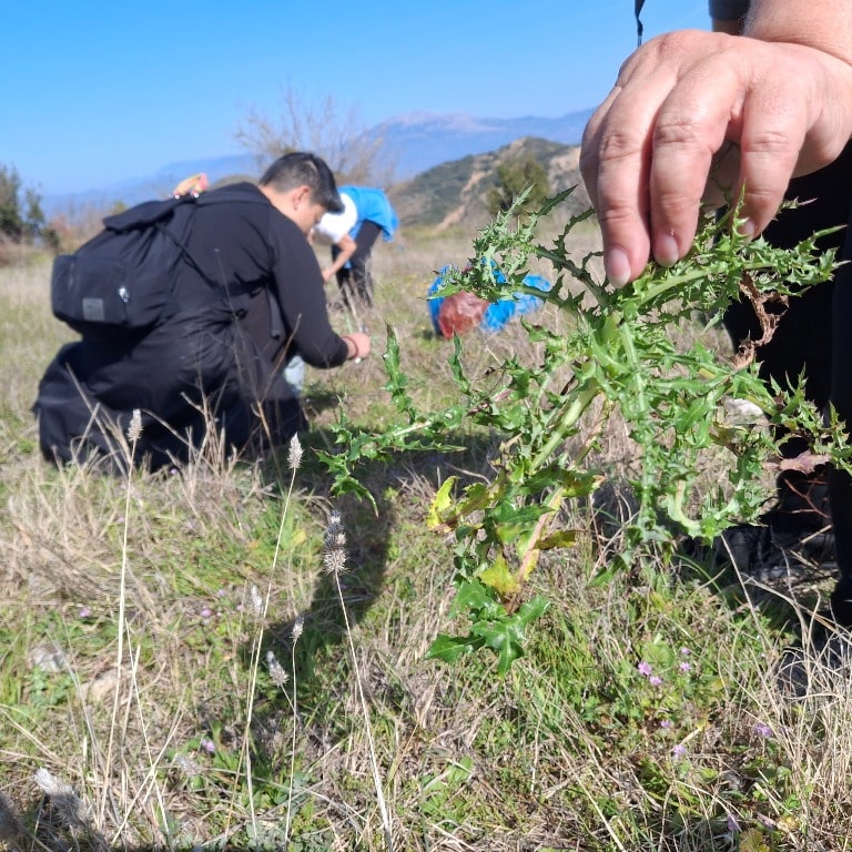 Με επιτυχία ολοκληρώθηκε η δράση «χορτοσυλλογή» του Πάρκου Εκπαιδευτικών Δράσεων του Δήμου Πατρέων στο Άνω Καστρίτσι