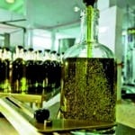 Ιταλία και Ελλάδα επιταχύνουν τις εξαγωγές ελαιολάδου