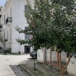 ΠΑΤΡΑ: Η φυλλωσιά... καλύπτει το ΣΤΟΠ