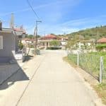 Δάφνη Ήλιδας: 12 θανατώσεις σκύλων σε 15 μέρες