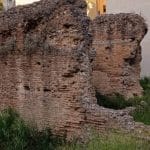ΠΑΤΡΑ: Αυτός είναι ο αρχαιολογικός χώρος που έχει γίνει... βοσκοτόπι;