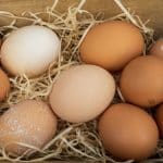 Ακρίβεια με… το κιλό στα αυγά – Εκτοξεύονται οι τιμές σε όλη την Ε.Ε.