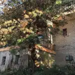 ΚΑΛΕΝΤΖΙ: Χωρίς επενδυτή το «Ξενία"
