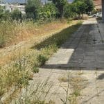 ΠΑΤΡΑ: Αυτό είναι το δημοτικό σχολείο που... χορτάριασε - ΦΩΤΟ