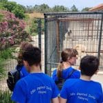 ΠΑΤΡΑ: Επίσκεψη των μαθητών του 26ου Δημοτικού Σχολείου στο καταφύγιο αδέσποτων ζώων