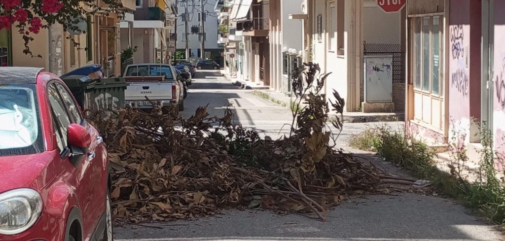 ΠΑΤΡΑ: «Τα πήρε στο κρανίο» και έκλεισε τον δρόμο με κλαδιά και ξερά χόρτα - ΦΩΤΟ