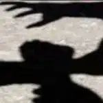 ΠΑΤΡΑ: Στα Δικαστήρια για το ξύλο ανάμεσα σε 15χρονους