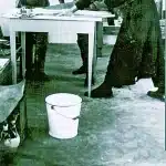Στο φως άγνωστο έργο του Παϊσίου!