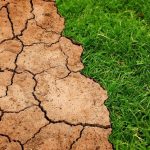 Δυτική Ελλάδα: Ξεκίνησε η εφαρμογή των μέτρων για την αντιμετώπιση της ξηρασίας