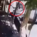 Άγριο έγκλημα στο Ιράν: Πατέρας σκότωσε την 18χρονη κόρη του επειδή αποκάλυψε στη σύζυγό του ότι την απατά