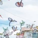 ΠΑΤΡΑ: Πεταλούδες... λόγω Πρωτομαγιάς