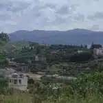 ΠΑΤΡΑ: Κίνδυνος πυρκαγιάς στην περιοχή "Ασυρμάτου" - ΦΩΤΟ