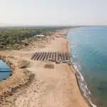 Σύλλογος Γεωπόνων: Διαμαρτυρία για την Καλογριά