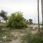 Οικόπεδα: Τρέχουν να δηλώσουν καθαρισμούς – 82.000 αιτήσεις σε 10 μέρες
