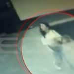 Πολωνία: Βίντεο με την 16χρονη πριν τη δολοφονία της – Στις φυλακές Βόλου ο ανήλικος κατηγορούμενος