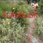 ΔΕΙΤΕ ΦΩΤΟ: Η στιγμή που οι πυροσβέστες σώζουν τον τραυματία στο Πουρναρόκαστρο Πάτρας