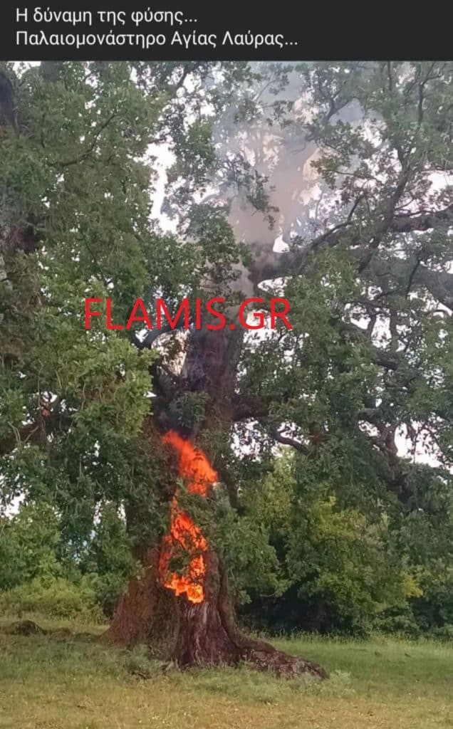 ΑΧΑΪΑ: Επεσαν κεραυνοί. Φωτιά σε δένδρο - ΦΩΤΟ