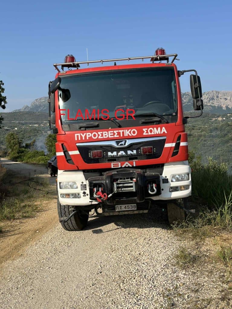 Σε ύφεση η φωτιά στις Βελιτσές - Δείτε Φωτό από το σημείο