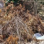 ΠΑΤΡΑ: Σωροί ξερόκλαδων – «Πυριτιδαποθήκες» δίπλα στους κάδους - ΦΩΤΟ