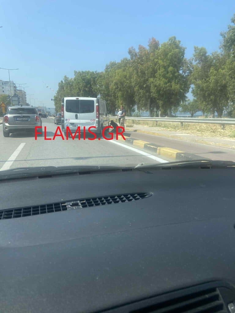 ΠΑΤΡΑ: Βανάκι "καβάλησε" τον ποδηλατόδρομο - ΦΩΤΟ