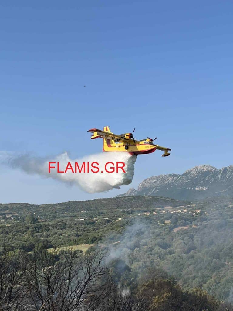Σε ύφεση η φωτιά στις Βελιτσές - Δείτε Φωτό από το σημείο
