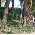 Kαθαρισμοί οικοπέδων: Σχεδόν 702.000 δηλώσεις – 329 δήμοι συνδέθηκαν στην ψηφιακή πλατφόρμα