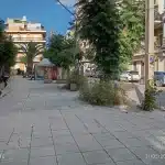 ΠΑΤΡΑ - ΚΑΤΟΙΚΟΙ ΒΟΡΕΙΟΥ ΗΠΕΙΡΟΥ: Φωτογράφιζαν την... ζούγκλα τους και την "ανέβασαν" στα social - ΦΩΤΟ