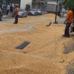 Αμφιλοχία: Γέμισε ο δρόμος καλαμπόκι και σταμάτησε η κυκλοφορία - ΦΩΤΟ