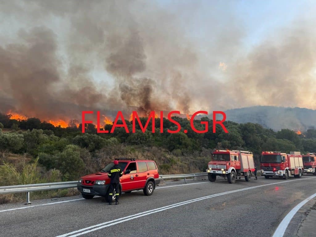 ΔΕΙΤΕ ΝΕΕΣ ΦΩΤΟ ΚΑΙ ΒΙΝΤΕΟ: Εσβησε η φωτιά! Είχε φθάσει κοντά στα σπίτια η φωτιά στη Ναύπακτο