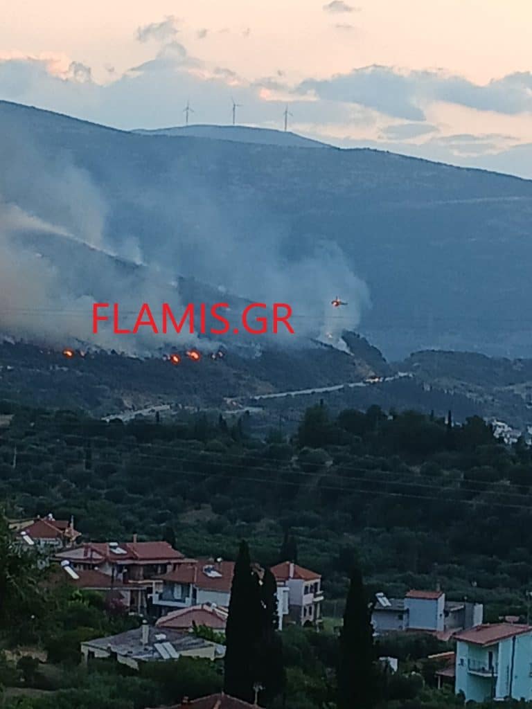ΔΕΙΤΕ ΝΕΕΣ ΦΩΤΟ ΚΑΙ ΒΙΝΤΕΟ: Εσβησε η φωτιά! Είχε φθάσει κοντά στα σπίτια η φωτιά στη Ναύπακτο