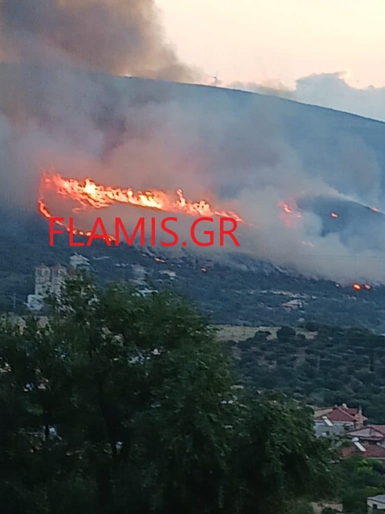 ΔΕΙΤΕ ΝΕΕΣ ΦΩΤΟ ΚΑΙ ΒΙΝΤΕΟ: Εσβησε η φωτιά! Είχε φθάσει κοντά στα σπίτια η φωτιά στη Ναύπακτο
