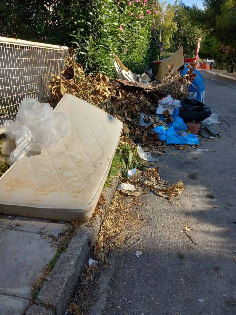 «ΕΠΙΘΕΣΕΙΣ» ΑΠΟ ΠΟΝΤΙΚΙΑ, ΦΙΔΙΑ, ΚΑΤΣΑΡΙΔΕΣ ΚΑΙ ΚΟΥΝΟΥΠΙΑ ΣΕ ΔΙΑΦΟΡΕΣ ΓΕΙΤΟΝΙΕΣ ΤΗΣ ΠΑΤΡΑΣ: Στο έλεος ζώων και εντόμων! ΠΟΛΛΕΣ ΦΩΤΟ